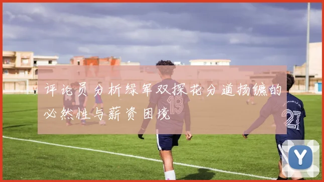 评论员分析绿军双探花分道扬镳的必然性与薪资困境