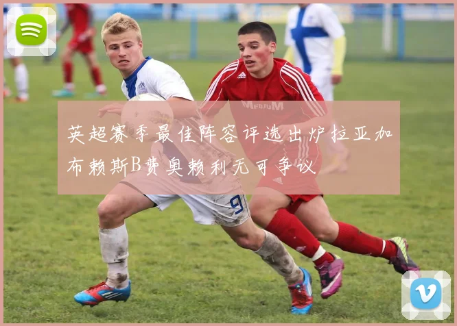 英超赛季最佳阵容评选出炉拉亚加布赖斯B费奥赖利无可争议